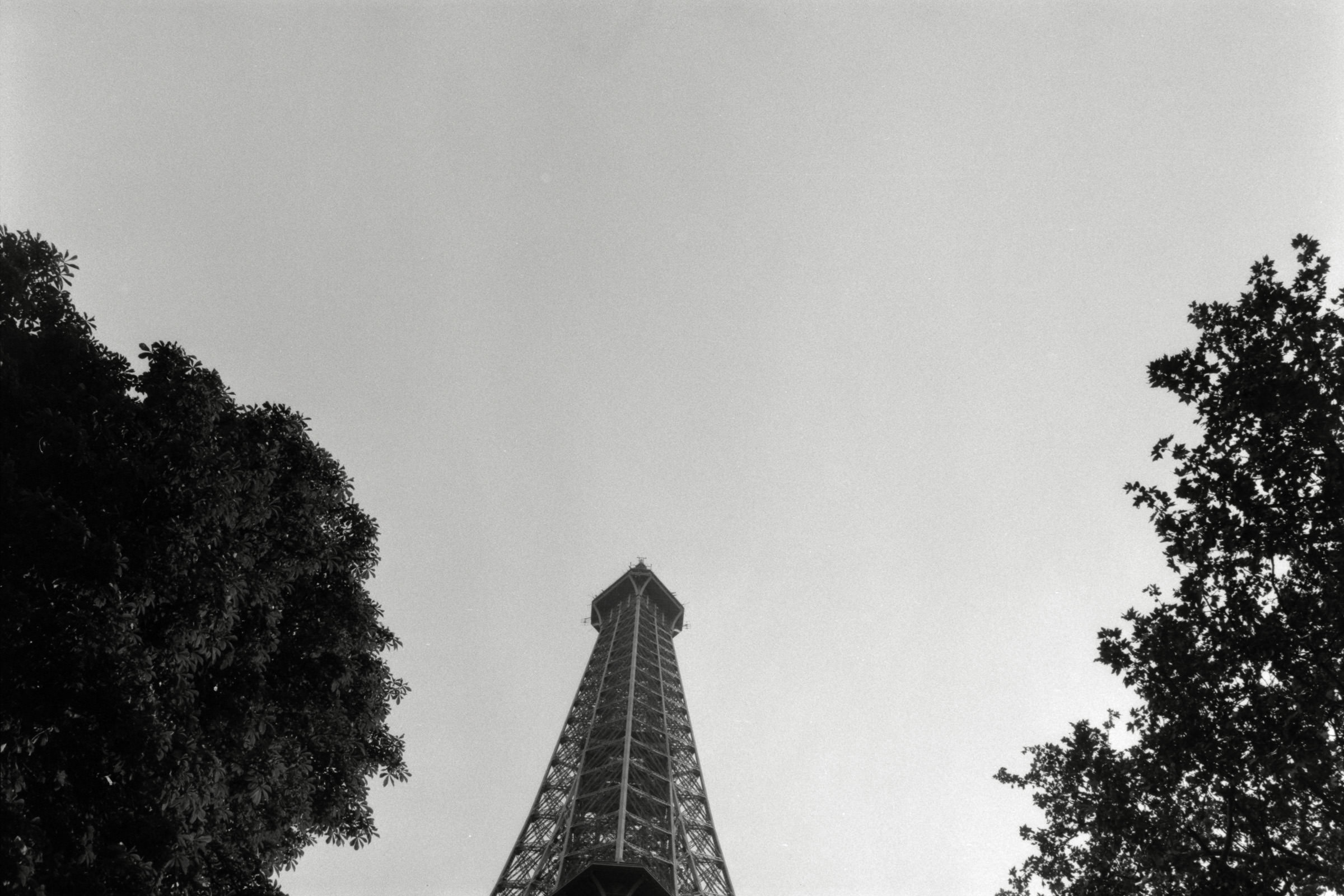 AHP F1990 09 003 sc250506 img01 NLP